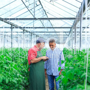 Agriculture
