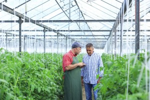 Agriculture